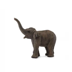 CollectA Asian Elephant Calf Toy Figure Realistic Educational 3+ Years