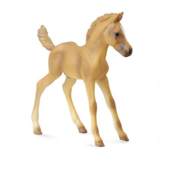 CollectA Haflinger Foal Standing Realistic Toy Figure for Kids, 3+ Years