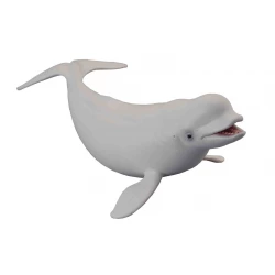 CollectA Realistic Beluga Whale Toy Figure for Kids 17.5cm Long Educational Marine Life Model for Play and Display, Highly Detailed and Durable