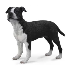 Collecta American Staffordshire Terrier Dog Figure Realistic Toy Model