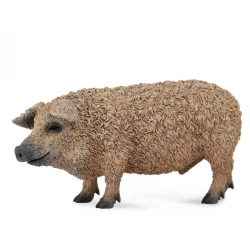 CollectA Hungarian Pig Animal Figure Realistic Educational Toy for Kids Aged 3+ Years