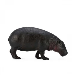 CollectA Pygmy Hippopotamus Toy Figure Realistic Animal Model for Kids 3+ Years