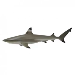Collecta Blacktip Reef Shark Realistic Miniature Figure for Ages 3 and Up Educational Toy