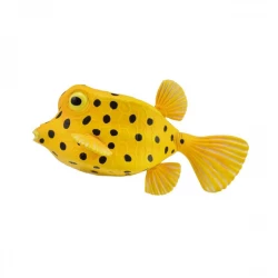 CollectA Boxfish Animal Replica Toy, Lifelike Detailing, Educational Play, 3+ Years