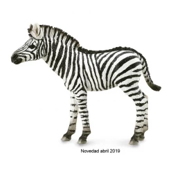 Collecta Zebra Foal Hand Painted Toy Animal Figure for Ages 3 and Up Realistic Wild Life Collection