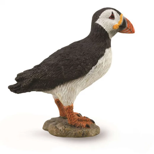 مجسم ببغاء البحر من كوليكتا، لعبة واقعية مرسومة يدويًا للأطفال، تعليمية مجسم ببغاء البحر من كوليكتا، لعبة واقعية مرسومة يدويًا للأطفال، تعليمية