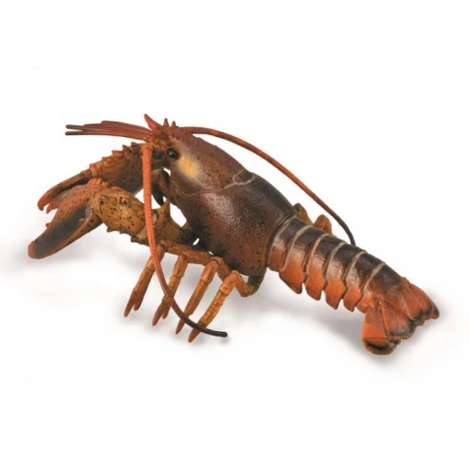 CollectA Lobster Toy Figure 15cm Realistic Marine Animal Model CollectA Lobster Toy Figure 15cm Realistic Marine Animal Model