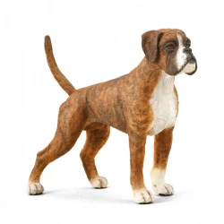 CollectA Boxer Dog Figurine Realistic Animal Toy for Ages 3 and Up