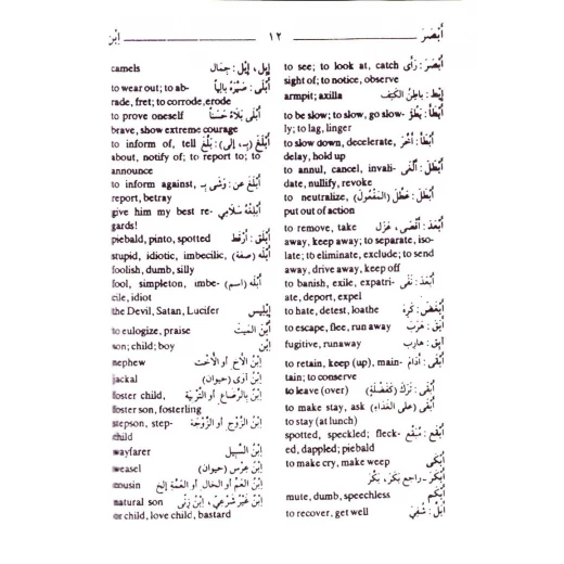 قاموس المورد القريب للجيب عربي-إنجليزي - طبعة ثنائية اللغة - Image 2