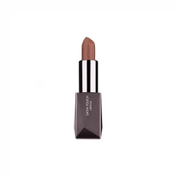 Alix Avien Satin Touch Lipstick 811 Spiced Apple Cider Rich Color Smooth Satin Finish Buildable Coverage