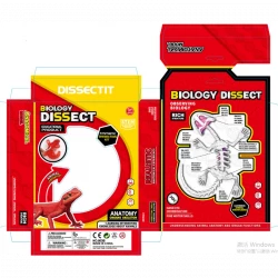 Biology Dissect Educational Product- Lizard