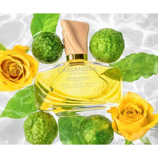 Jeanne Cassandra Eau de Toilette 100ml Perfume for Women Elegant Daily Wear Gift Fragrance - Jeanne cassandra - Image 3