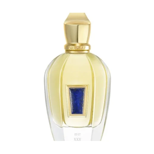 زيرجوف 17/17 إكس إكس واي بارفان للجنسين، 100 مل، عطر فاخر بنفحات خشبية وتوابل وزهور، تركيبة أنيقة ومميزة للرجال والنساء زيرجوف 17/17 إكس إكس واي بارفان للجنسين، 100 مل، عطر فاخر بنفحات خشبية وتوابل وزهور، تركيبة أنيقة ومميزة للرجال والنساء