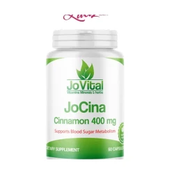 JOVITAL JoCina Cinnamon 400mg 60 Capsules - Natural Cinnamon Supplement for Healthy Blood Sugar, Metabolism & Digestive Support