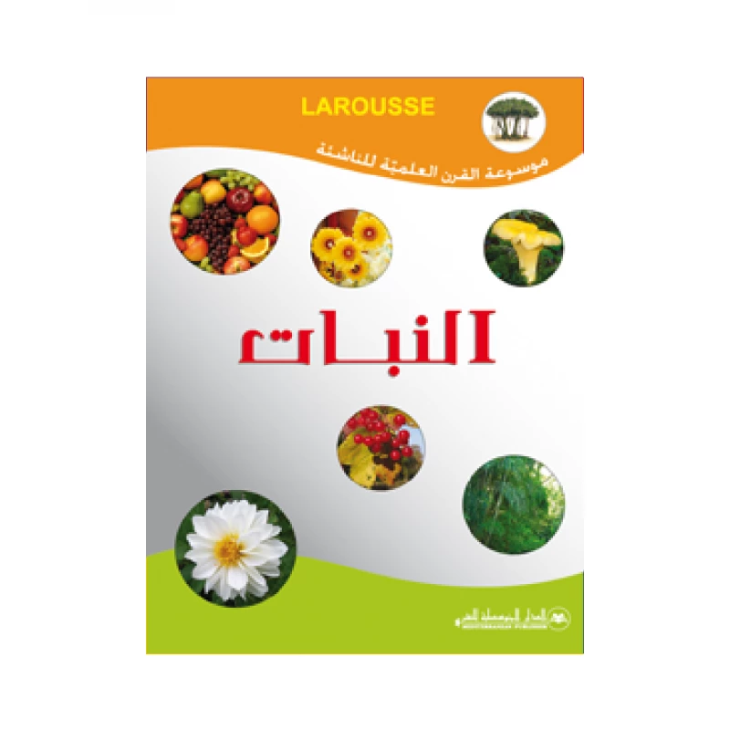 موسوعة المعرفة للناشئة: طبعة النباتات: استكشفوا عجائب عالم النبات مع رسومات حية ومحتوى جذاب للأعمار من 8 إلى 12 سنة
