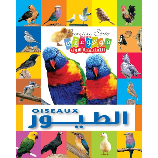 موسوعتي التعليمية الأولى: الطيور إصدار إنكليزي عربي 2012 دليل شامل للأطفال 100+ صفحات رسوم توضيحية ملونة موسوعتي التعليمية الأولى: الطيور إصدار إنكليزي عربي 2012 دليل شامل للأطفال 100+ صفحات رسوم توضيحية ملونة