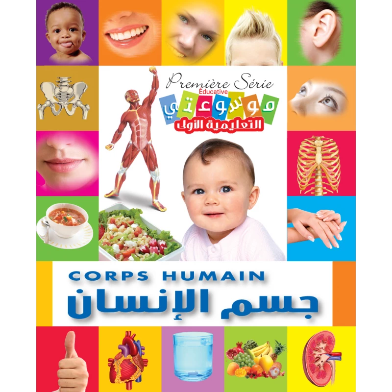 موسوعتي التعليمية الأولى جسم الإنسان كتاب تعلم مصور باللغتين الإنجليزية والعربية للأطفال