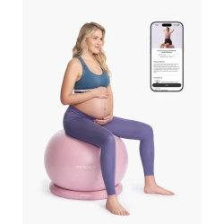 Buy Momcozy BirthEase Maternity Ball MB01 (Ball+ Base) – Dusty Rose
