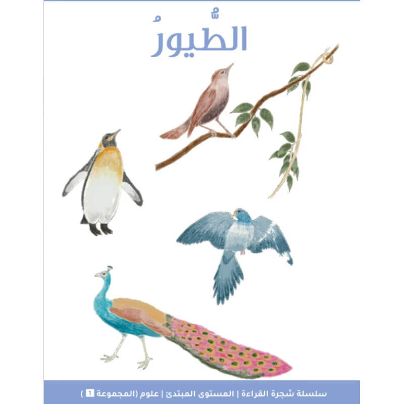 شجرة القراءة للمبتدئين: كتاب قصة الطيور – قصص ممتعة بلغة بسيطة لتسهيل الفهم، جزء من سلسلة شجرة القراءة لتعليم الأطفال القراءة
