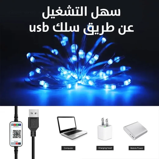 أضواء خرافية ذكية 10 متر IC-RGB: أضواء LED متعددة الألوان تتفاعل مع الصوت - Image 7