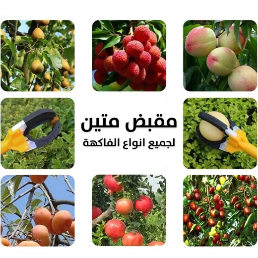 كماشة قطف الفاكهة القابلة للتمديد - وصول 1.68 متر للحصاد السهل - Image 6