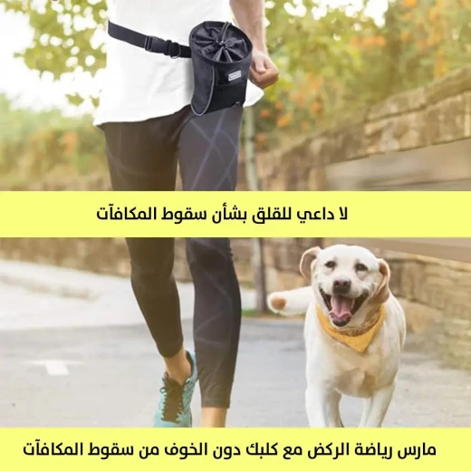 Dog Treat Training Bag: Waist-Mounted, Durable & Organized Storage - Image 5