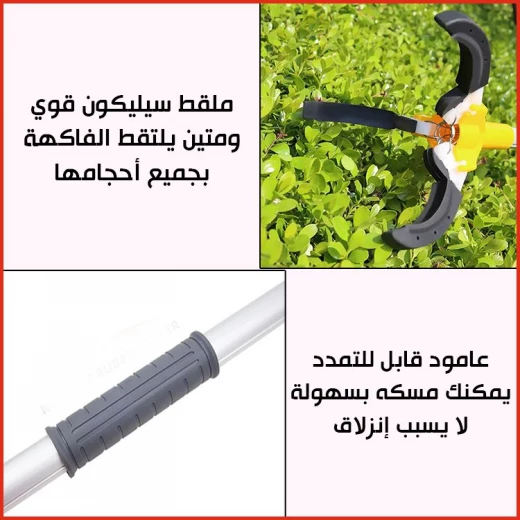 آلة قطف الفاكهة القابلة للتمديد حتى 3 أمتار, أداة خفيفة الوزن ومتينة مع مقبض مريح, قطف لطيف للفاكهة من الأغصان العالية بسهولة وأمان - Image 4