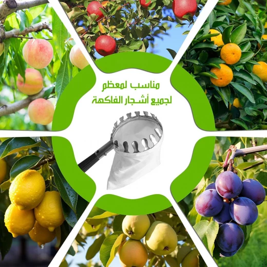 أداة قطف الفواكه مع كيس, عمود قابل للتمديد حتى 3 متر, لقطف الثمار بسهولة من الأشجار, خفيفة الوزن ومتينة للحديقة - Image 5