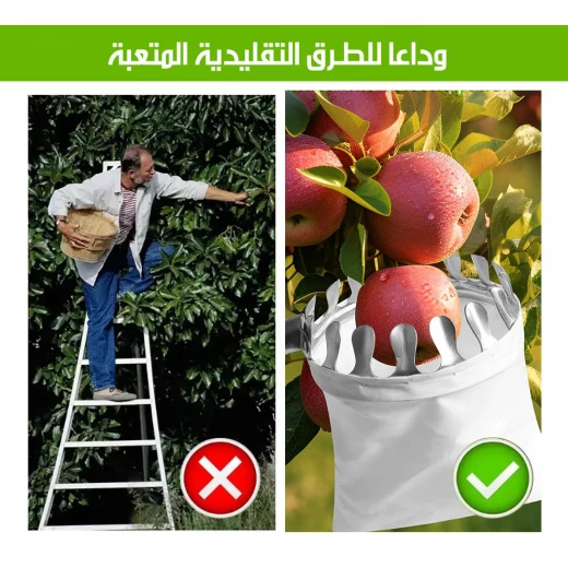 أداة قطف الفواكه مع كيس, عمود قابل للتمديد حتى 3 متر, لقطف الثمار بسهولة من الأشجار, خفيفة الوزن ومتينة للحديقة - Image 6