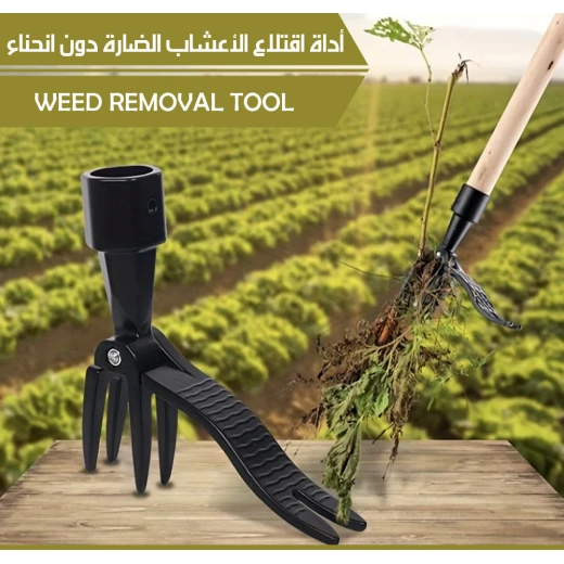 Ergonomic Weed Removal Tool with Long Handle: Stand Up Weeder for Garden and Lawn Care, Eliminates Back Strain, Removes Weeds at the Root, Durable Design for All Ages, 2024 Model - Image 3