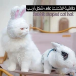 قبعة قط على شكل أرنب: زي رائع لصديقك القط
