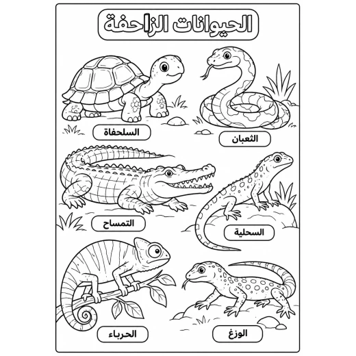 شورت (لف) نسائي لتنسيق ونحت الجسم بخصر مرتفع وقصة مريحة، مناسب للاستخدام اليومي وتحت الملابس - Image 5