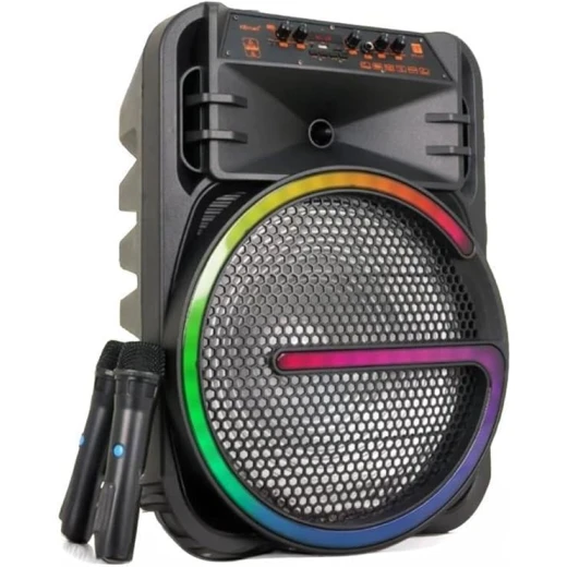 Portable Bluetooth Speaker KTS-2170 15-Inch with Microphone and RGB Lights