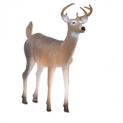 Terra, White Tailed Buck Forest Animal Figurine Hand-Painted Durable Plastic Collectible Toy for Kids Ages 3+ Educational Diorama Accessory