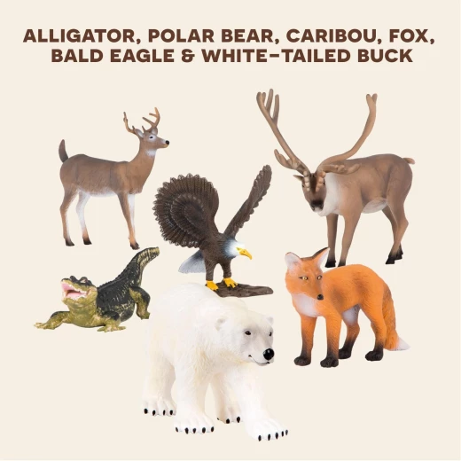 TERRA, North American Animals Toy Set Realistic Wildlife Figures Alligator Bald Eagle Deer Fox Caribou Polar Bear Educational Plastic Animal Playset for Kids Age 3 and Up - Terra - Image 2