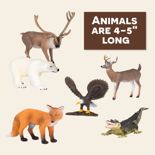 TERRA, North American Animals Toy Set Realistic Wildlife Figures Alligator Bald Eagle Deer Fox Caribou Polar Bear Educational Plastic Animal Playset for Kids Age 3 and Up - Terra - Image 3