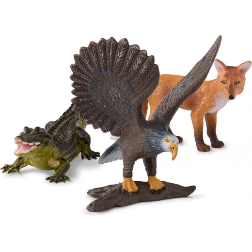 TERRA, North American Animals Toy Set Realistic Wildlife Figures Alligator Bald Eagle Deer Fox Caribou Polar Bear Educational Plastic Animal Playset for Kids Age 3 and Up - Terra - Image 8