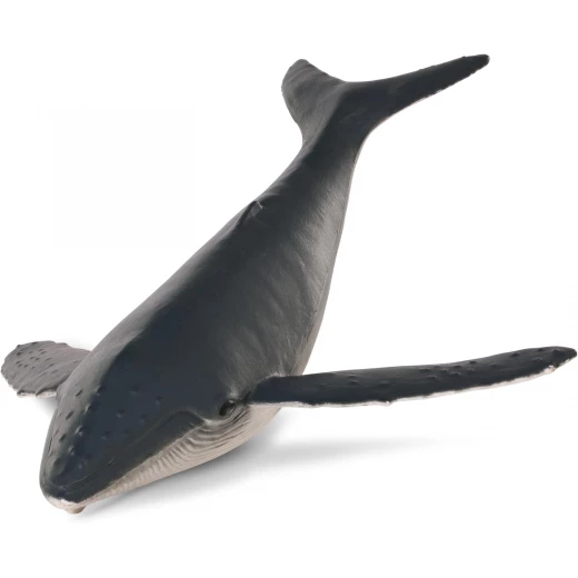 TERRA, Sea Life Animal Figures Toy Set Realistic Ocean Creatures Whale Dolphin Shark Turtle Penguin Educational Sensory Play for Kids 3+ - Terra - Image 5