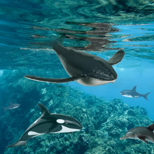 TERRA, Sea Life Animal Figures Toy Set Realistic Ocean Creatures Whale Dolphin Shark Turtle Penguin Educational Sensory Play for Kids 3+ - Terra - Image 9