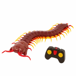 Terra, Giant Scolopendra Electronic RC Centipede Toy with LED Eyes Durable Design for Kids Ages 6+ Educational Insect Playset