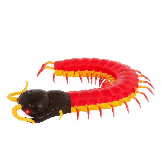 TERRA, Giant Scolopendra Remote Control Centipede Toy LED Eyes Realistic Crawling Insect RC Movement Kids 6+ Interactive Educational Animal Toy Long Body Flexible Motion - Terra - Image 5