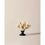Madame COCO Sylvie Plastic Trinket Box, 23 x 11.5 x 28cm, Elegant Decorative Storage Box, Ideal for Organizing and Storing Accessories and Small Items - Madame COCO