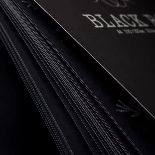 دفتر ملاحظات بوتينايت A4 الأسود 32 ورقة، ورق خالي من الأحماض، غلاف أنيق بنقوش زهرية، حلزوني، وزن 120 جرام/م² للفن والكتابة - ستوي - Image 3