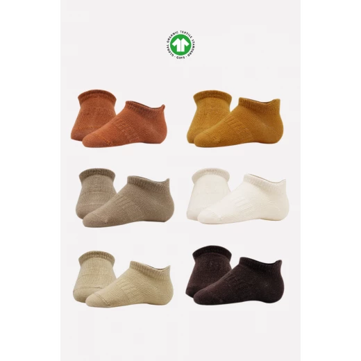 جوارب مبطنة ممشطة (24-36 شهر) (ملون)، 6 أزواج من بيستايل - BiOrganic - Image 14