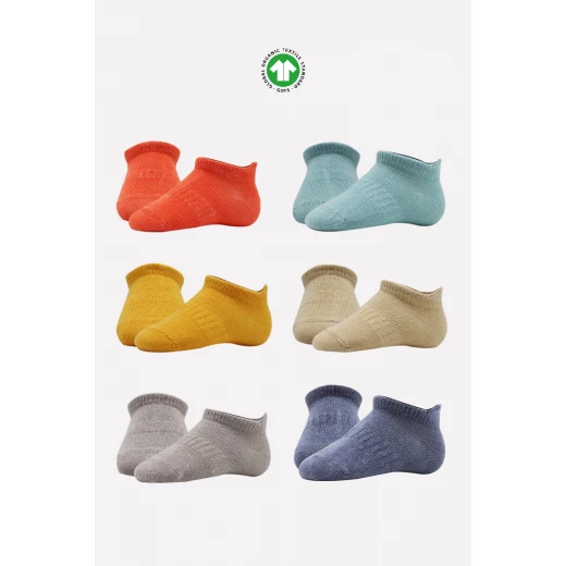 جوارب مبطنة ممشطة (6-12 شهر) (ملون)، 6 أزواج من بيستايل - BiOrganic - Image 7
