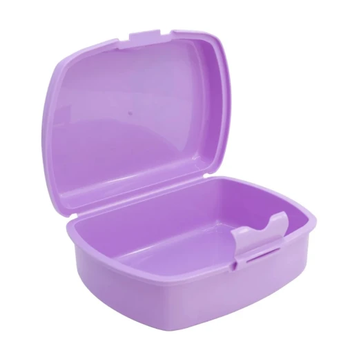 Stor Frozen Autumn Leaves Urban Sandwich Box - Large Durable Kids Snack Container, Drop-Resistant & BPA-Free - Stor - Image 3