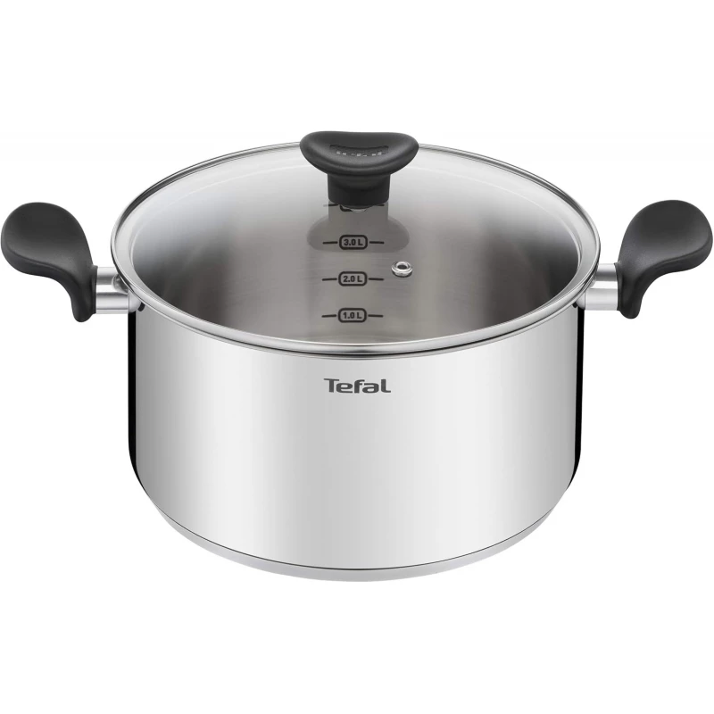 Tefal Primary Stewing Pot 24 cm (5 L) + Glass Lid, Induction, High Quality Stainless Steel - Tefal