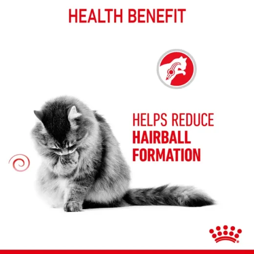 Royal Canin Hairball Care Adult Dry Cat Food 4kg, Complete and Balanced Nutrition Specially Formulated for Adult Cats Prone to Hairballs, Helps Support Hair Passage Through the Digestive Tract, Reduce Hairball Build-Up and Promote Healthy Digestion - Royal Canin - Image 3