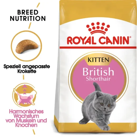Royal Canin British Shorthair Kitten Dry Cat Food, Complete and Balanced Nutrition to Support Healthy Growth, Muscle and Bone Development, and Immune Health, Specially Designed Kibble for Kittens, 400 g - Royal Canin - Image 2