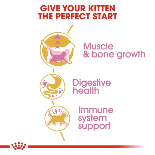 Royal Canin British Shorthair Kitten Dry Cat Food, Complete and Balanced Nutrition to Support Healthy Growth, Muscle and Bone Development, and Immune Health, Specially Designed Kibble for Kittens, 400 g - Royal Canin - Image 3